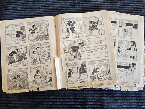 Tintin diverses pages - diverses, de