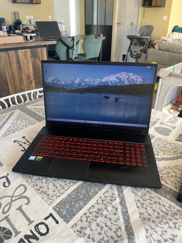Portable gamer msi - portable,