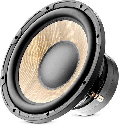 Focal sub 10 - sub, p