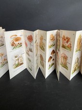 Petit Atlas Champignons Ancien