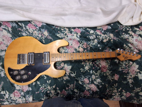 1970 peavey 60 natural - 1970's, t-60