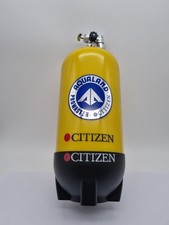 Citizen First Series Promaster
