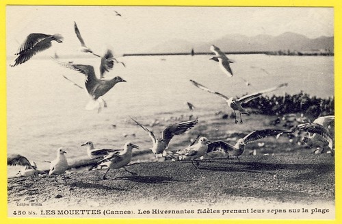 Cpa cannes alpes - cannes, (alpes