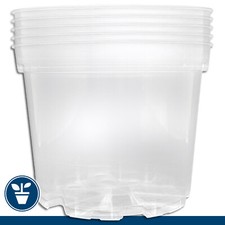 5 X Pot Orchidée Transparent