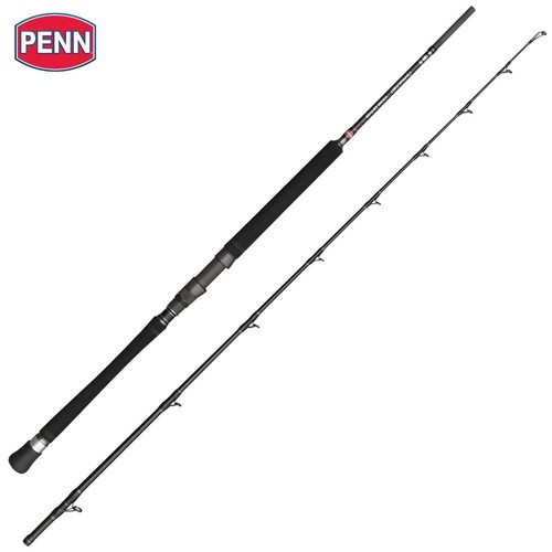 Canne pêche penn saltwater - à,