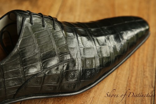 Chaussures derby crocodile - , en