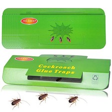 Piege Cafard 24 Pcs Anti