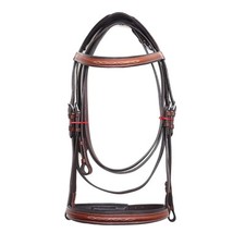 Bride en cuir de cheval