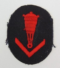 Insigne de spécialité