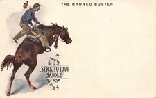 Usa - Cowboy, Western Motifs - The Bronco Buster - Stick to your saddle - Publ.