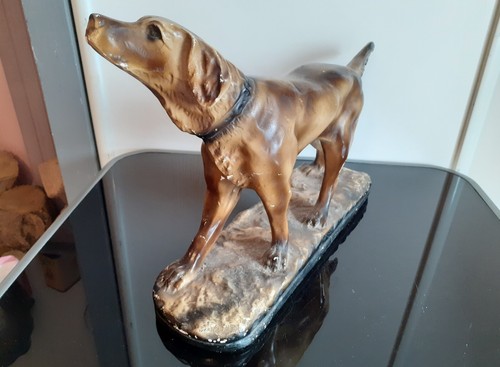 Chien chasse platre - chien, en