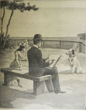 ***** LES VEILLEES DES CHAUMIERES 1901 - BELLES ILLUSTRATIONS : ZIEM, MAGNE... *