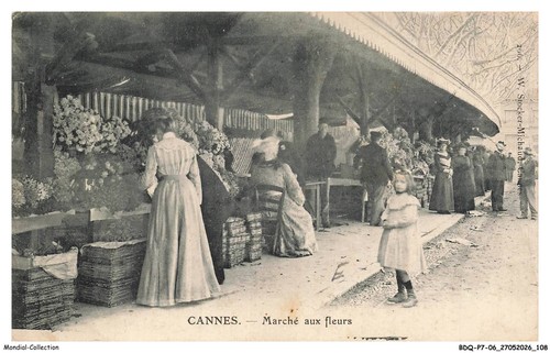 Bdqp7 0537 cannes - bdqp7-0537-06,