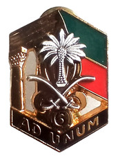 insigne TERRE - LEGION 040 -