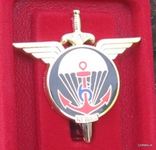 INSIGNE MILITAIRE ARTHUS