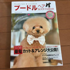 Caniche Cheveux Style Se Place