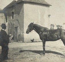 FRANCE Un Homme au cheval pur-sang Photo c1900 Stereo Vintage Argentique 