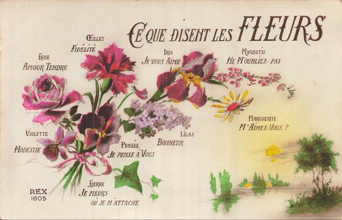 Que disent les fleurs - que,