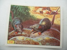 Stikers album PANINI 1992 immage Animaux Prehistorique Prehistoric Vignette #112