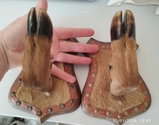 Porte fusil pieds de chevreuil