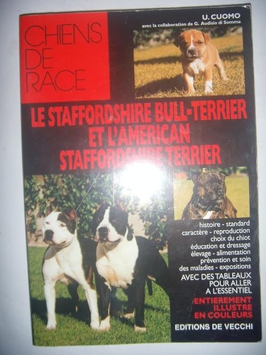 Staffordshire bull terrier - staffordshire, bull-terrier