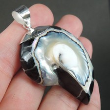 Bijou pendentif coquillage