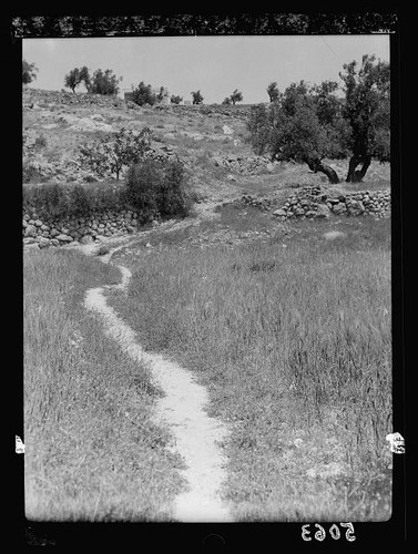 Photo 1930s rural stone path - photo:1930s,
