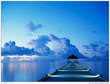 SEAU à CHAMPAGNE Acier Chromé Vin Art de la Table Champagner Eimer bucket