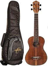 Oscar Schmidt OU5K Concert