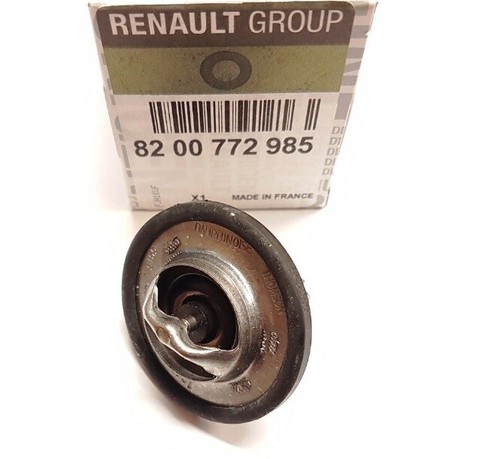 Thermostat pour renault clio - thermostat,