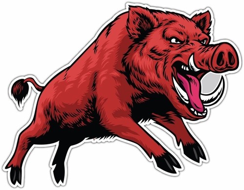 Red boar wild - red,