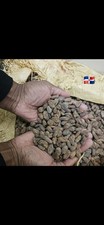 Fèves de cacao BIO ,crues