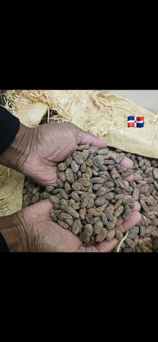 Fèves cacao bio crues - de,