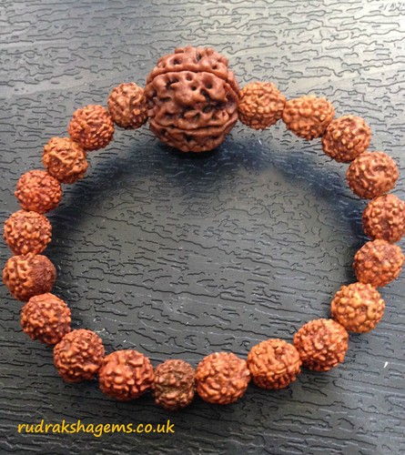 Bracelet rudraksha six - mukhi, 6