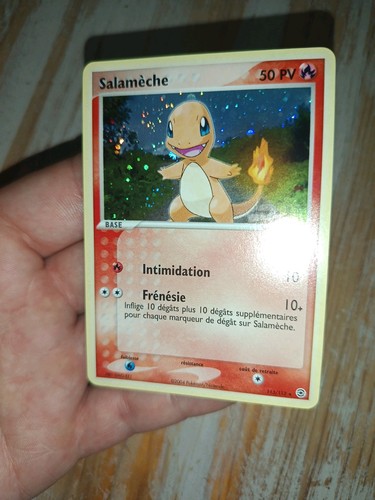 Pokemon salamèche secret - pokemon,