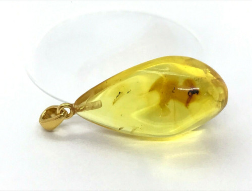 Pendentif ambre avec - , insecte
