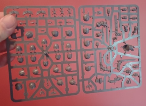 Warhammer 40k grappes