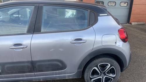 Porte arriere gauche citroen - porte,