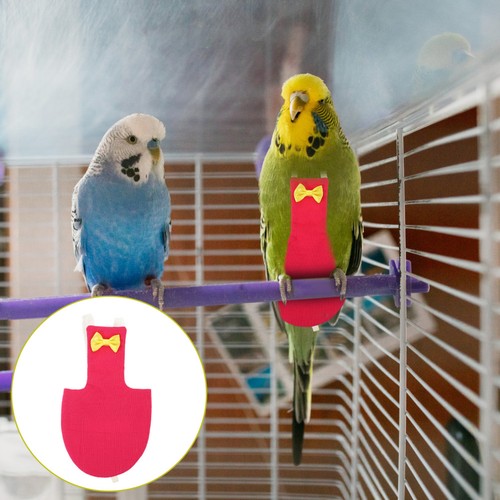 Vêtements pour perroquets - vêtements,