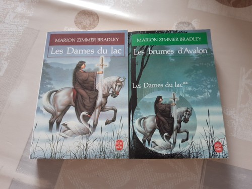Lot romans les dames du - romans,