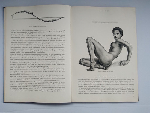 Rare livre anatomie - rare,