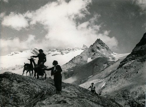 Les evettes 1950 - c., massif