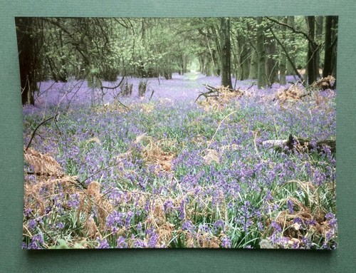 Photo argentique originale - photo,
