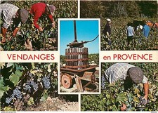 Vignes - Provence - Vendanges - Multivues - Vieux pressoir - CPM - Voir Scans Re