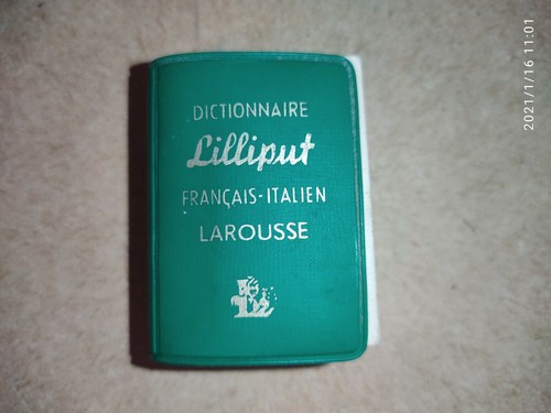 Mini dictionnaire lilliput - dictionnaire,