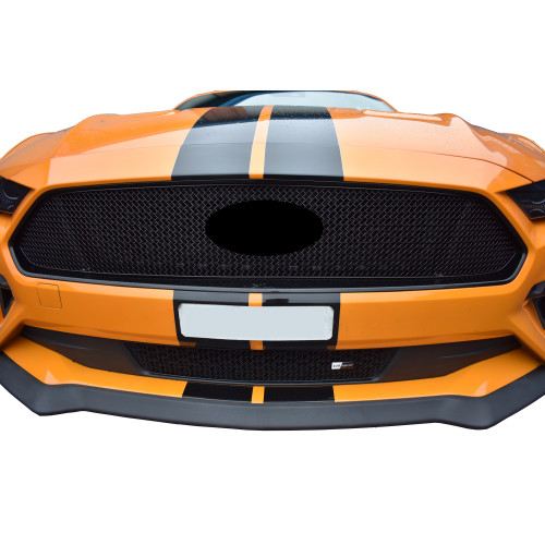 Ford mustang facelift - gt,