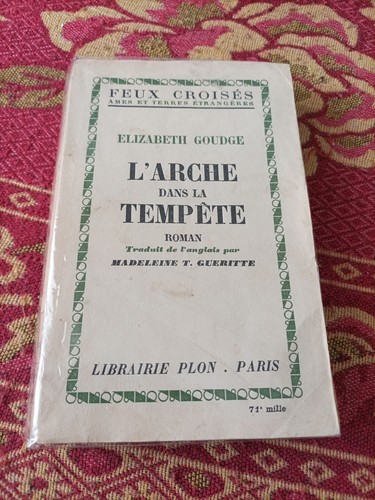 Arche dans tempête - l'arche,