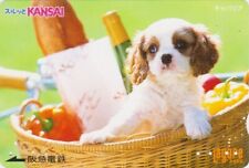 Carte JAPON - ANIMAL  - CHIEN CAVALIER KING CHARLES - DOG JAPAN Kansai card