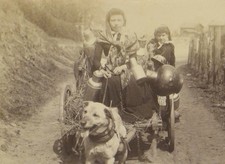 Photographie, laitière