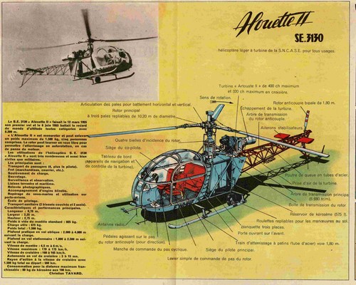 1956 document - 1956, cg
